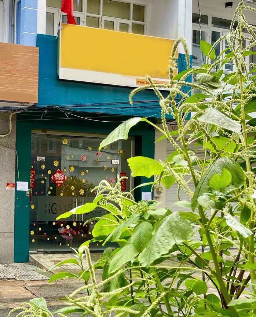  cho thuê nhà nguyên căn MTĐ Hoa Trà, P7, Q.Phú Nhuận